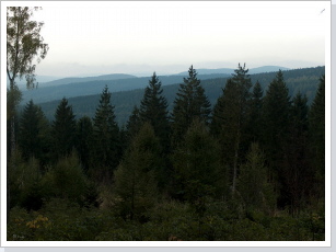 Thüringer Wald - wohin man auch schaut