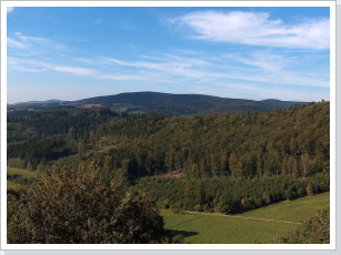 Thüringen besitzt eine einzigartige Waldlandschaft